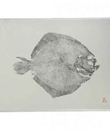 Turbot frame without frame