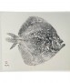 Quadre Turbot amb marc
