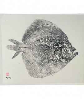 Turbot box with frame
