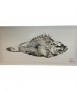 Painting Scorpion Fish without Frame