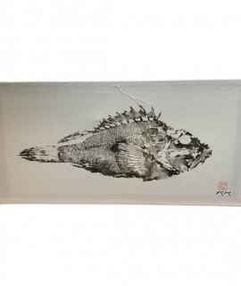 Painting Scorpion Fish without Frame