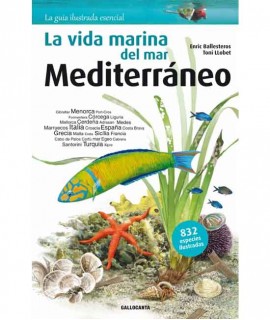La vida marina del mar Mediterráneo
