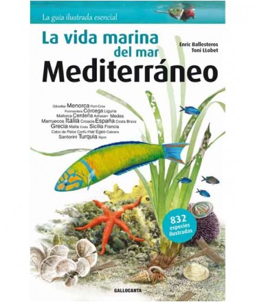 La vida marina del mar Mediterráneo