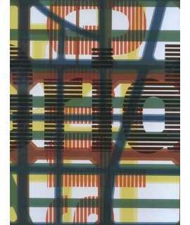 Redesigning gridded cities- 4 Volume SET: Hangzhou Underlays, Manhattan Framework, Chicago Boundless and Barcelona Collage. 4 Vo