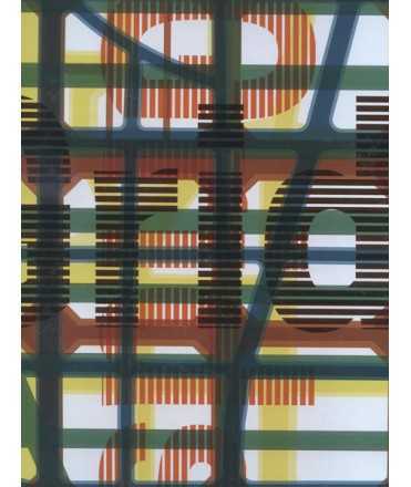 Redesigning gridded cities- 4 Volume Set: Hangzhou Underlays, Manhattan Framework, Chicago Boundless and Barcelona Collage. 4 Vo