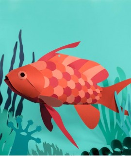 Pez de papel - Anthias anthias