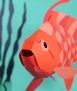 Pez de papel - Anthias anthias