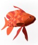 Pez de papel - Anthias anthias