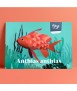 Pez de papel - Anthias anthias