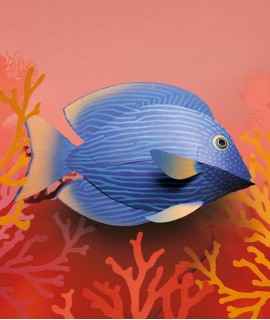 Paper fish - Strigosus