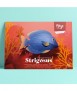 Pez de papel - Strigosus