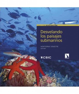 Desvelando los paisajes submarinos