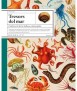 Treasures of the sea