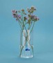 Atlantis Vase