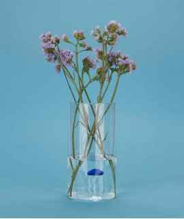 Atlantis Vase