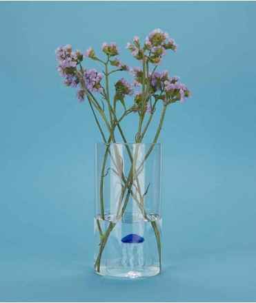 Florero Atlantis