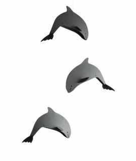 M Whale Porpoise