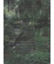 Inspirations Time travel Trough Garden History