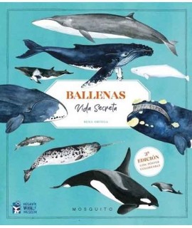 Ballenas. Vida secreta