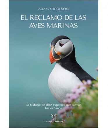 El reclamo de las aves marinas