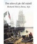 Dos Años al Pie del Mastil