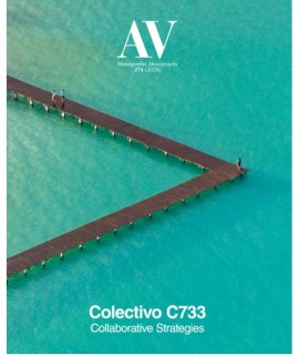 AV n.274 Colectivo C733