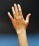 Anillo Anell4