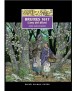 Bruixes 1617: L'any del diluvi