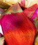 Fulard Rosa Vermella de Sant Pau