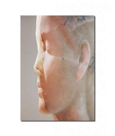 Jaume Plensa: Inner Matter / Materia Interior