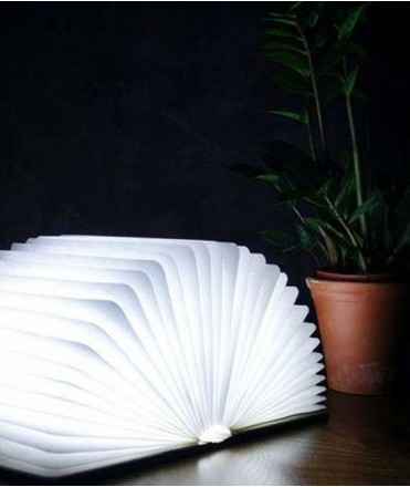 Llum Llibre Mini, fusta clara