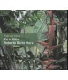 On the Site. Roberto Burle MARX