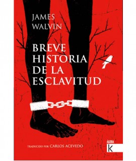 Breve historia de la Esclavitud