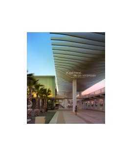 The Palm Grove of las surprises Junquera Arquitectos
