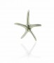 Colgante Estrella de Mar