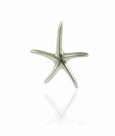 Colgante Estrella de Mar