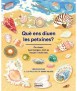 Què ens Diuen les Petxines?