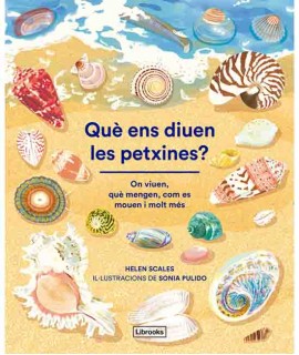 Què ens Diuen les Petxines?