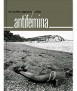 Antifémina