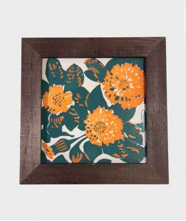 RAJOLA DE LA CASA VICENS AMB MARC