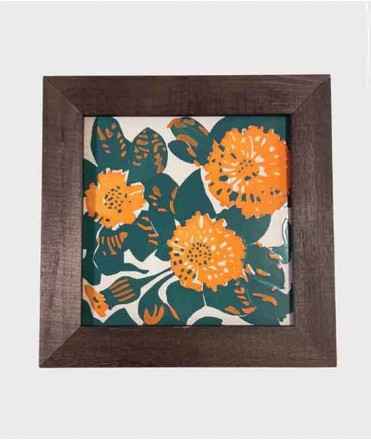 RAJOLA DE LA CASA VICENS AMB MARC