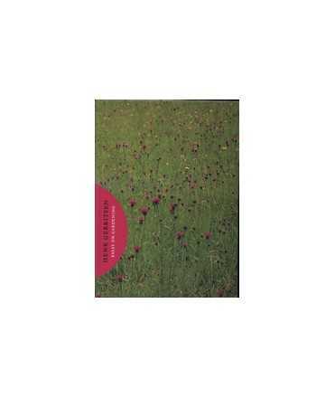 ESSAY ON GARDENING