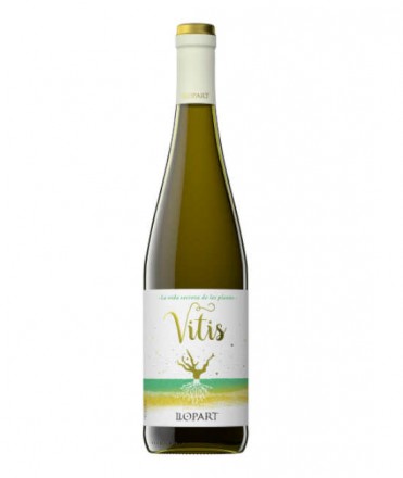 Vino blanco Vitis Llopart 2024