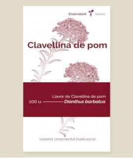 Semillas de Clavelina de ramo