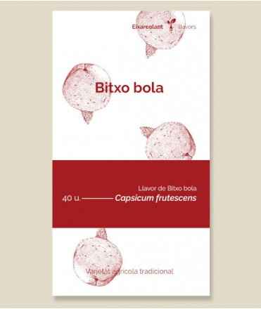 Semillas de Guindilla bola