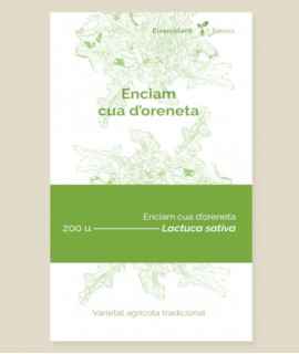 Semillas de lechuga de cola de golondrina