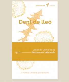 Semillas de diente de león