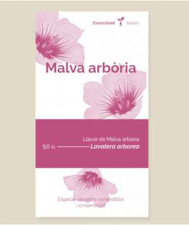 Llavors de Malva arbòria