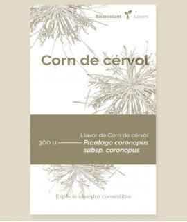 Semillas de Cuerno de Ciervo