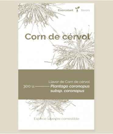 Semillas de Cuerno de Ciervo